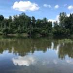 Огромная щука в корягах. Мой первый трофей.