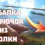 Тест крючка из ИГОЛКИ! Ловля ГОЛЬЯНА и РОТАНА на поплавочную удочку