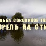 Sokolovo 16.09.19