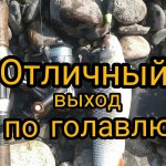 ОТЛИЧНЫЙ ВЫХОД ПО ГОЛАВЛЮ. РЫБАЛКА 2019