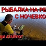 Рыбалка на реке с ночевкой.Новое место.Лещи атакуют!