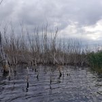 Рыбалка на водохранилище, спиннинг осенью 2019