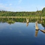 Ловля щуки в коряжнике,  Рыбалка на спиннинг,  Опасное место для лодки