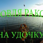 Ловля РАКА и КАРАСЯ  на поплавочную удочку.
