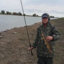 Хара