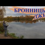 Спиннинг на МОСКВА-РЕКЕ в Бронницах. ЩУКА на ДЖИГ осенью в Подмосковье.