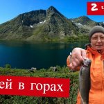 10 дней в горах без продуктов по Плато Укок 2 часть