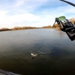 Окунь на отводной на каждом забросе, сказочная рыбалка на спиннинг осенью