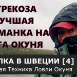 Стрекоза рулит! Лучшая приманка на окуня. Рыбалка в Швеции. [Часть четвертая].