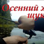 Ловля щуки на воблеры Shad и Минноу. Лучший воблер на щуку.