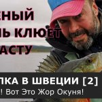 Бешеный окунь клюет на пасту. Часть вторая. [Рыбалка в Швеции].