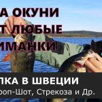 Вот это рыбалка! Окуни-монстры на заброс. [Swedish bass fishing].