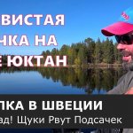 Ничего себе! Активный клев щук в солнце и штиль. Часть третья. [Рыбалка в Швеции].