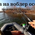 Поздней осенью рыбачим на спиннинг, щука на воблер