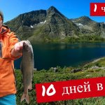10 дней в горах без продуктов по Плато Укок 1 часть