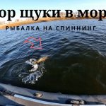 Жор щуки в мороз, рыбалка на спиннинг в ноябре 2019