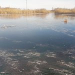 Сгоняли с утра на речку.