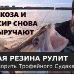 Неожиданный бонус в конце рыбалки. Жирные окуни и судак. [дроп-шот молчит].