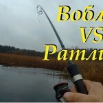 Ловля щуки на спиннинг в ноябре.  Ратлин vs Воблера
