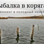 Рыбалка в корягах, спиннинг в холодный ноябрь