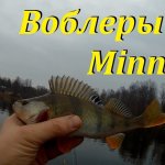 Воблеры с Алиэкспресс.  Твичинг.   Воблеры minnow.  Щука, окунь, сетки     18 +
