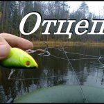 Отцеп для воблеров.  Рыболовный отцеп используем на практике