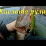 Ловля щуки осенью на кислотные воблеры минноу.  Осенний жор щуки.