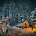 24 ЧАСА В ЛЕСУ строю каркас для таёжной хижины. 3 часть