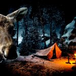 24 ЧАСА В ЛЕСУ Дикая кухня Один в Горной Шории 5 часть