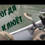 ПОЙМАЛ !Рыбалка с отличным уловом. Рыбалка в декабре #рыбалка #декабрь