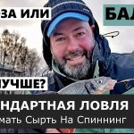 Вимба (сырть или рыбец). Ловля на балду и стрекозу. [Нестандартная рыбалка].