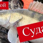 Рыбачим на Обском море в Спирино