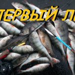 Первый лёд.  Ловля окуня по первому льду. Окунь на блесну.