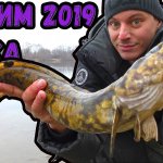 За Налимом на Оку, Рыбалка на донки с ночевкой , Налим 2019 Сезон открыт