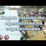 Рыбалка по закону (Норма вылова на официальных соревнованиях)