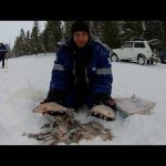 НАРВАЛИСЬ НА ГОРБАЧЕЙ ПЕРЕД РОЖДЕСТВОМ. ПОСЛЕ ОТПРАВИЛИСЬ ЗА ЯЗЕМ. ЗИМНЯЯ РЫБАЛКА 2020.