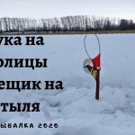 Щука на жерлицы, Подлещик на мотыля, Зимняя рыбалка 2020