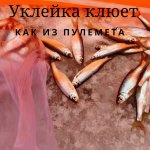 Уклейка клюет на каждом опускание мормышки под лед, рыбалка 2020