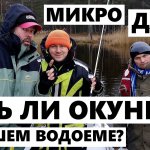 Можно ли поймать окуня на микроджиг зимой? Зимний спиннинг 2020 [лайфхак: список матов для youtube].