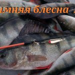 Ловля окуня зимой на блесну в толпе.  Новая блесна на окуня 2020
