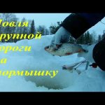 Зимняя рыбалка со льда на красивой старице. Ловля сороги со льда. Зимняя рыбалка 2019-2020.