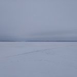 Сегодня опять Иванька.