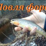 Ловля форели.  Ручьевая форель.  Малые реки