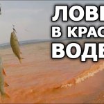 "Сказочная" рыбалка! Нептун не обидел! Хорошая рыбалка на водохранилище на щуку и окуня!
