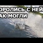 Возьмём или нет!? Рыбалка на реке. Щука на ультралайт. Ультралайт на реке Чулым. Ловля на спиннинг