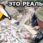 Кан рыбы за 20 минут!!!