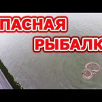 Змея атакует! Рыбалка на водохранилище спиннингом на щуку и окуня с подписчиком