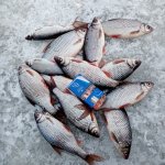 Два дня провели на Себле.