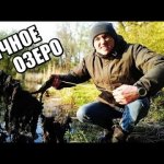 Взяли себе ЛЕСНОЕ БОЛОТО. Почистили и ЛОВИМ РЫБУ на Удочку.
