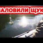 Хорошая рыбалка на щуку! Рыбалка на спиннинг, ловля щуки